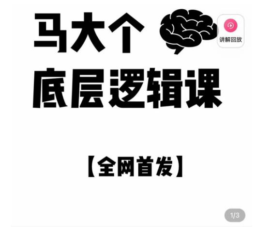 图片[1]-马大个·底层逻辑课，51节底层逻辑智慧课-价值1980元-大松资源网