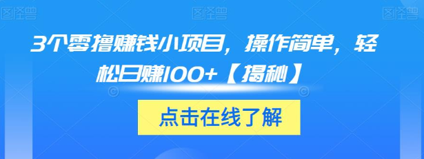 图片[1]-3个合适新人操作的零撸赚钱小项目，轻松日赚100+【视频教程】-大松资源网