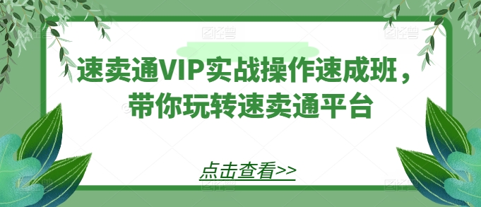 图片[1]-速卖通VIP实战操作速成班，带你玩转速卖通平台-大松资源网