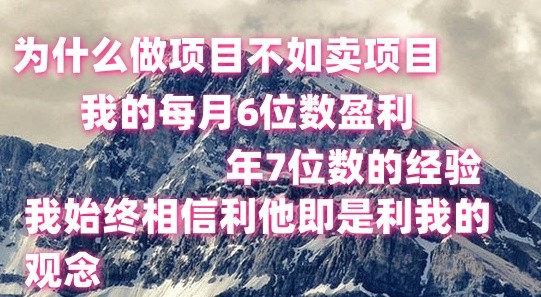 图片[1]-做项目不如卖项目，每月6位数盈利，年7位数经验-大松资源网