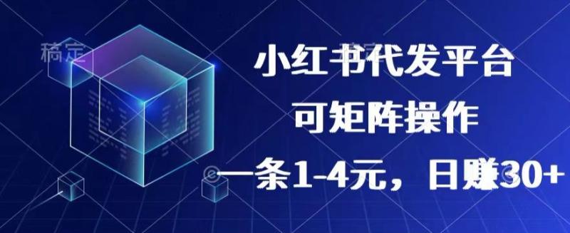 图片[1]-【小红书+抖音】代发平台，一条1~4元，日赚30+的靠谱小项目，可矩阵操作-大松资源网