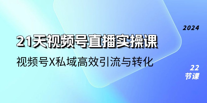 图片[1]-21天视频号直播实操课，视频号X私域高效引流与转化（22节课）-大松资源网