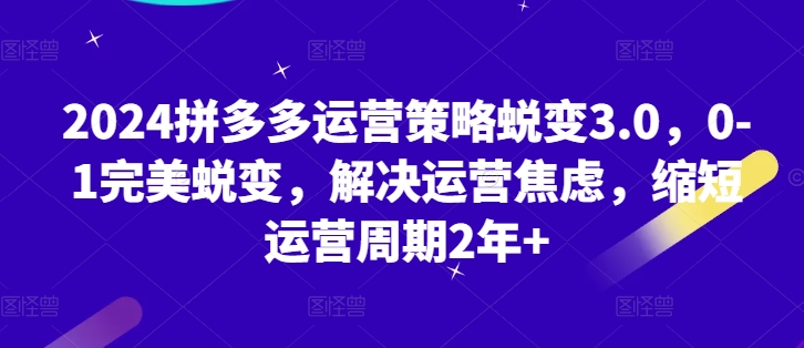 图片[1]-2024拼多多运营策略蜕变3.0，0-1完美蜕变，解决运营焦虑，缩短运营周期2年+-大松资源网