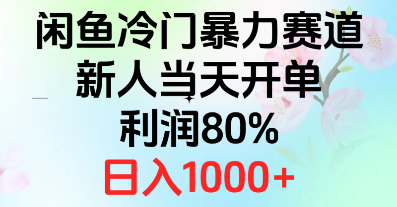 图片[1]-（10985期）2024闲鱼冷门暴力赛道，新人当天开单，利润80%，日入1000+-大松资源网