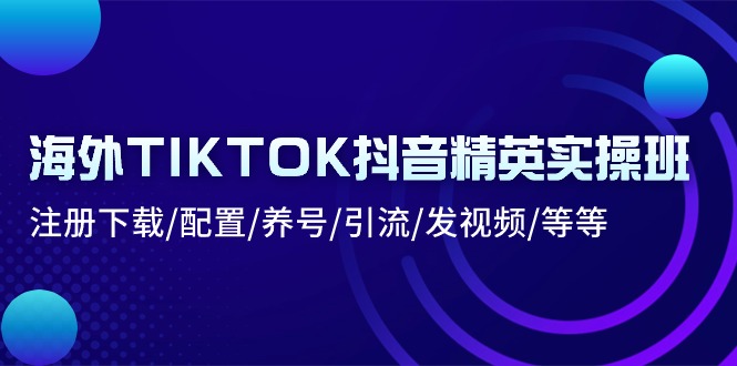 图片[1]-（10998期）海外TIKTOK抖音精英实操班：注册下载/配置/养号/引流/发视频/等等-大松资源网