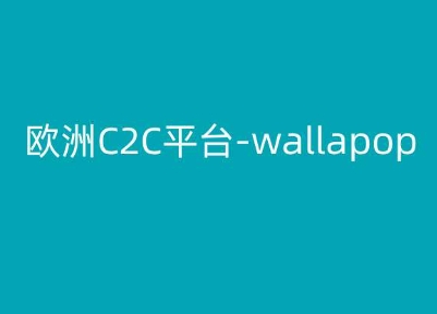 图片[1]-欧洲C2C平台-wallapop-kim跨境电商教程-大松资源网