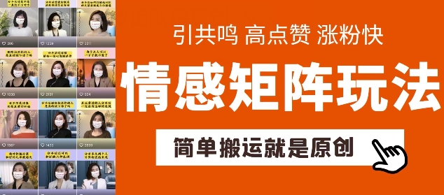 图片[1]-简单搬运，情感矩阵玩法，涨粉速度快，可带货，可起号-大松资源网