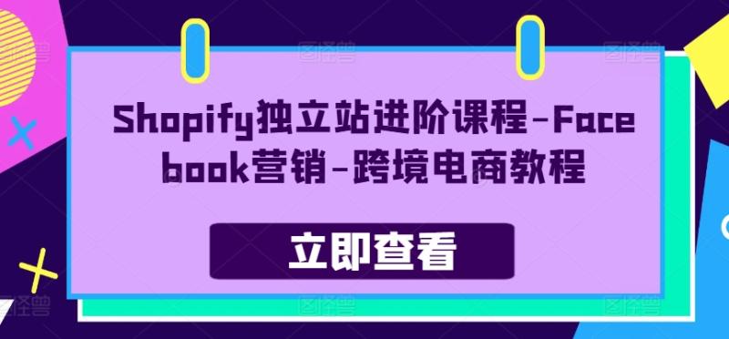 图片[1]-Shopify独立站进阶课程-Facebook营销-跨境电商教程-大松资源网