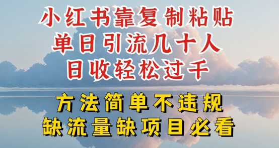 图片[1]-小红书靠复制粘贴单日引流几十人目收轻松过千，方法简单不违规-大松资源网