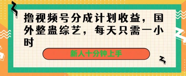 图片[1]-撸视频号分成计划收益，国外整蛊综艺，每天只需一小时，新人十分钟上手-大松资源网