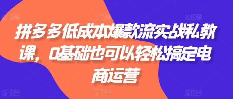 图片[1]-拼多多低成本爆款流实战私教课，0基础也可以轻松搞定电商运营-大松资源网