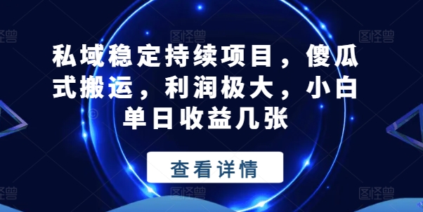 图片[1]-私域稳定持续项目，傻瓜式搬运，利润极大，小白单日收益几张-大松资源网