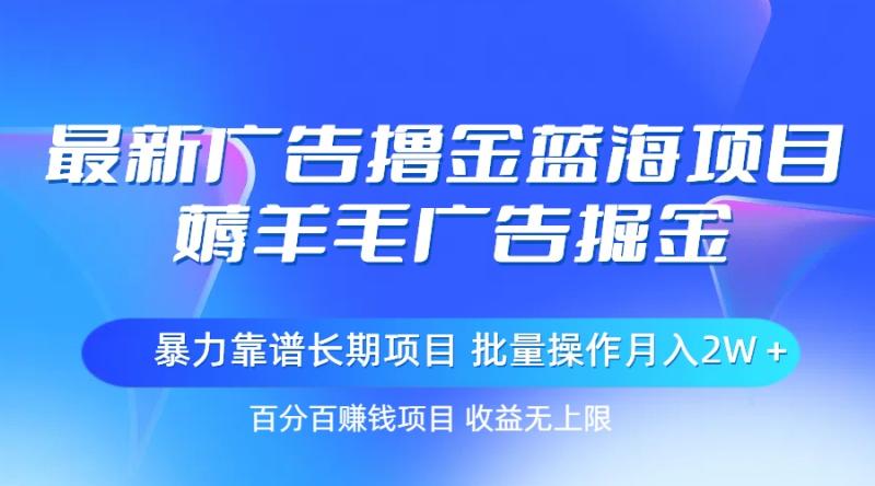 图片[1]-（11193期）最新广告撸金蓝海项目，薅羊毛广告掘金 长期项目 批量操作月入2W＋-大松资源网