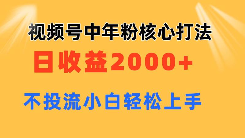 图片[1]-（11205期）视频号中年粉核心玩法 日收益2000+ 不投流小白轻松上手-大松资源网