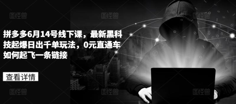 图片[1]-拼多多6月14号线下课，最新黑科技起爆日出千单玩法，0元直通车如何起飞一条链接-大松资源网