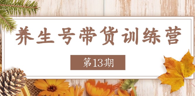 图片[1]-（11275期）养生号-带货训练营【第13期】收益更稳定的玩法，让你带货收益爆炸-大松资源网