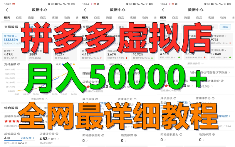 图片[1]-拼多多虚拟电商训练营月入50000+你也行，暴利稳定长久，副业首选-大松资源网