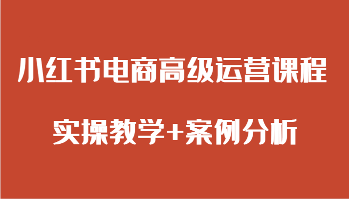 图片[1]-小红书电商高级运营课程 实操教学+案例分析-大松资源网