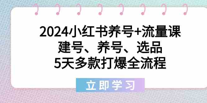 图片[1]-2024小红书养号+流量课：建号、养号、选品，5天多款打爆全流程-大松资源网