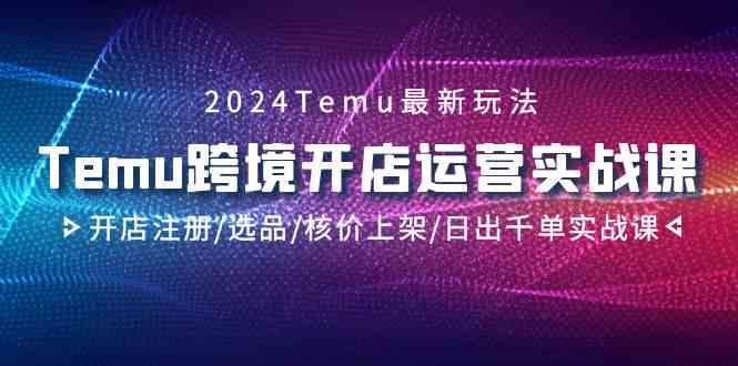 图片[1]-2024Temu跨境开店运营实战课，开店注册/选品/核价上架/日出千单实战课-大松资源网