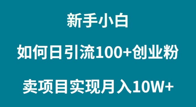 图片[1]-（9556期）新手小白如何通过卖项目实现月入10W+-大松资源网