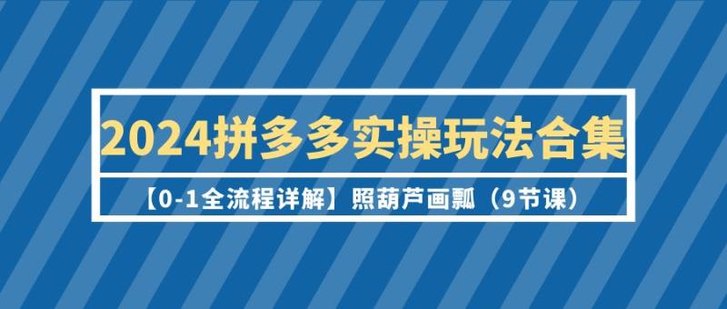 图片[1]-（9559期）2024拼多多实操玩法合集【0-1全流程详解】照葫芦画瓢（9节课）-大松资源网