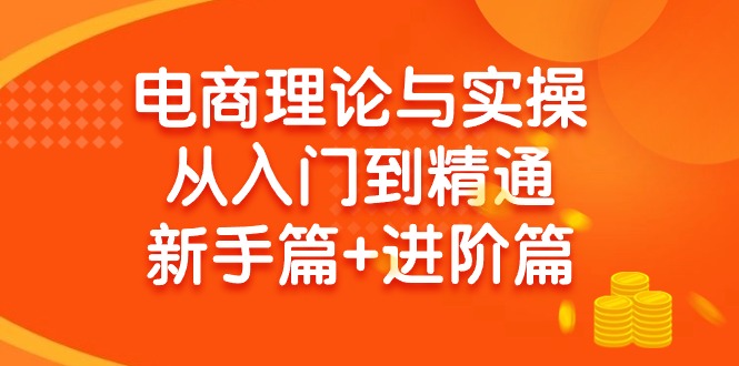 图片[1]-（9576期）电商理论与实操从入门到精通 新手篇+进阶篇-大松资源网