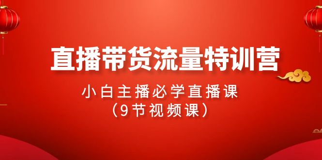 图片[1]-2024直播带货流量特训营，小白主播必学直播课（9节视频课）-大松资源网