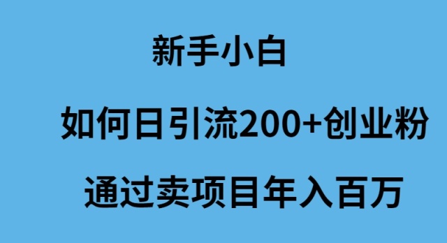 图片[1]-（9668期）新手小白如何日引流200+创业粉通过卖项目年入百万-大松资源网