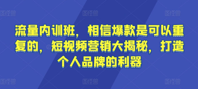 图片[1]-流量内训班，相信爆款是可以重复的，短视频营销大揭秘，打造个人品牌的利器-大松资源网