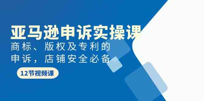 图片[1]-亚马逊申诉实战课，商标、版权及专利的申诉，店铺安全必备-大松资源网