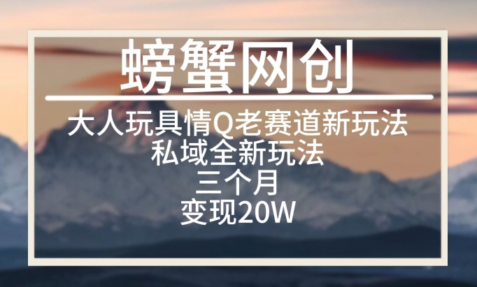 图片[1]-大人玩具情Q用品赛道私域全新玩法，三个月变现20W，老项目新思路【揭秘】-大松资源网