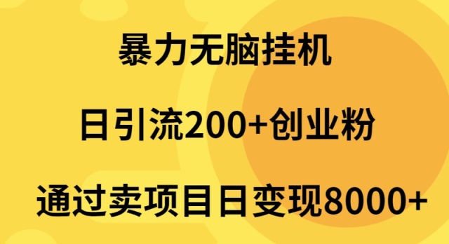 图片[1]-（9788期）暴力无脑挂机日引流200+创业粉通过卖项目日变现2000+-大松资源网