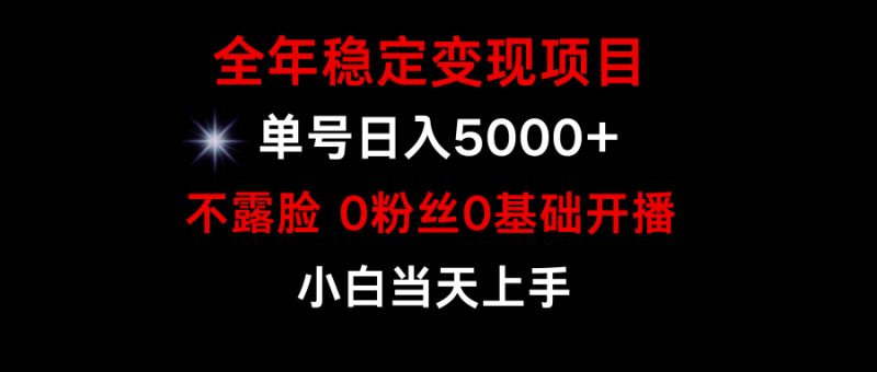 图片[1]-（9798期）小游戏月入15w+，全年稳定变现项目，普通小白如何通过游戏直播改变命运-大松资源网