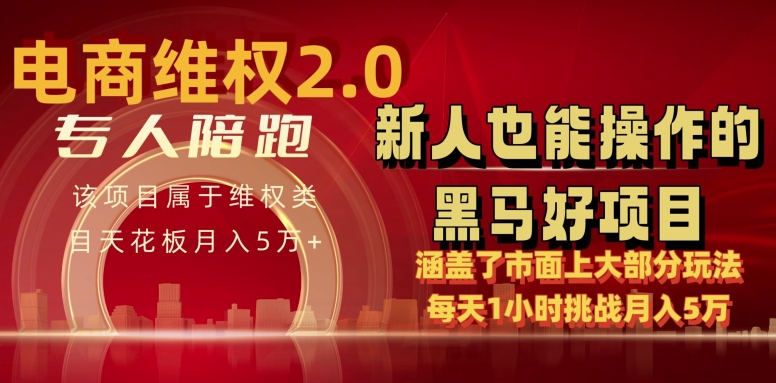 图片[1]-电商维权 4.0 如何做到月入 5 万+每天 1 小时新人也能快速上手【仅揭秘】-大松资源网