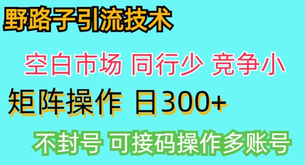 图片[1]-拼多多野路子引流创业粉实战教学，手动操作，用户转化率高-大松资源网