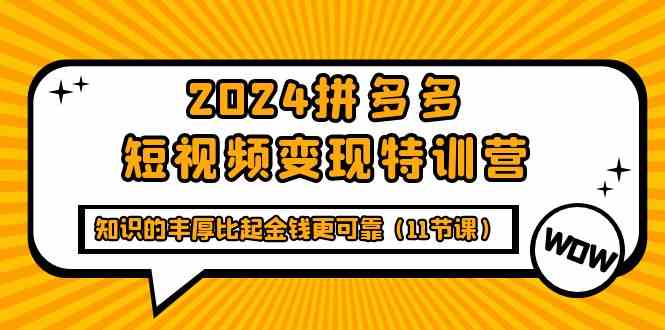 图片[1]-2024拼多多短视频变现特训营，知识的丰厚比起金钱更可靠（11节课）-大松资源网