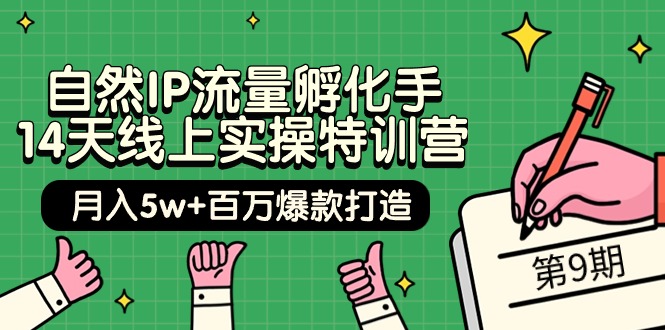 图片[1]-（9881期）自然IP流量孵化手 14天线上实操特训营【第9期】月入5w+百万爆款打造 (74节)-大松资源网