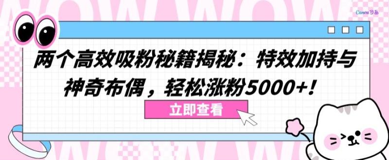 图片[1]-两个高效吸粉秘籍揭秘：特效加持与神奇布偶，轻松涨粉5000+【揭秘】-大松资源网