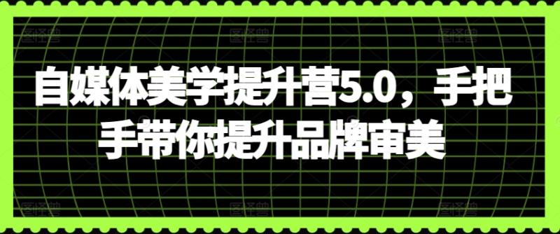 图片[1]-自媒体美学提升营5.0，手把手带你提升品牌审美-大松资源网