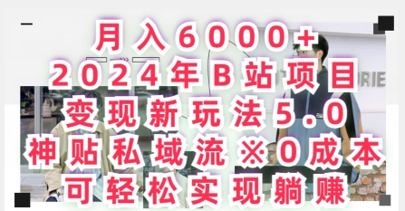 图片[1]-月入6000+，2024年B站项目变现新玩法5.0.神贴私域流0成本，可轻松实现躺赚-大松资源网