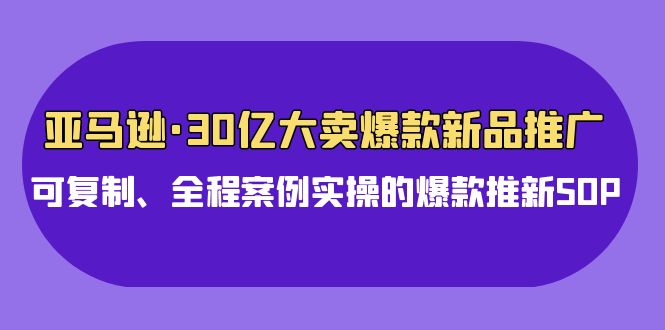 图片[1]-亚马逊30亿大卖爆款新品推广，可复制、全程案例实操的爆款推新SOP-大松资源网