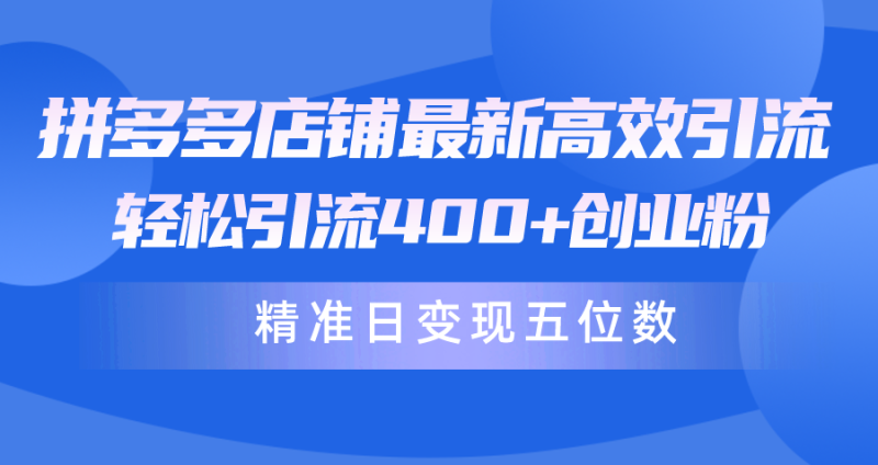 图片[1]-（10041期）拼多多店铺最新高效引流术，轻松引流400+创业粉，精准日变现五位数！-大松资源网