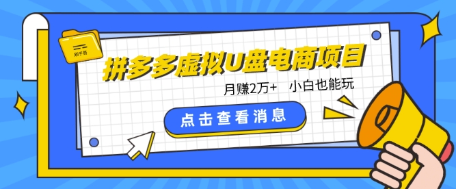 图片[1]-拼多多虚拟U盘电商红利项目：月赚2万+，新手小白也能玩-大松资源网