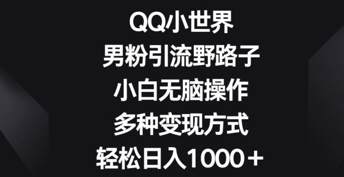 图片[1]-QQ小世界男粉引流野路子，小白无脑操作，多种变现方式轻松日入1000+-大松资源网