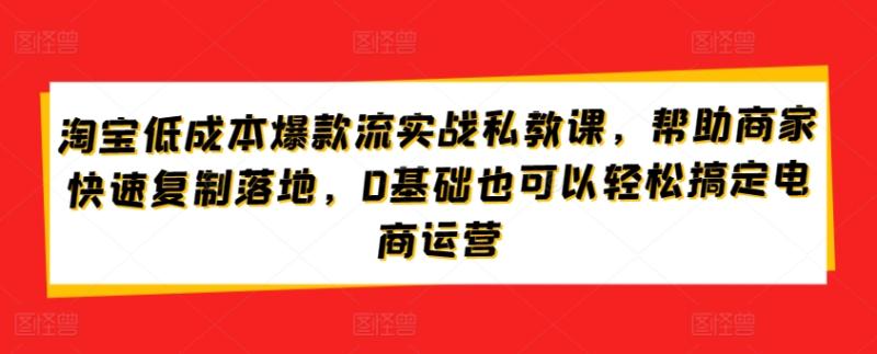 图片[1]-淘宝低成本爆款流实战私教课，帮助商家快速复制落地，0基础也可以轻松搞定电商运营-大松资源网