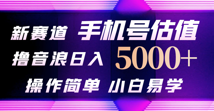 图片[1]-（10154期）抖音不出境直播【手机号估值】最新撸音浪，日入5000+，简单易学，适合所有人-大松资源网