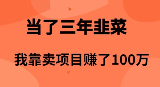 图片[1]-（10149期）当了3年韭菜，我靠卖项目赚了100万-大松资源网