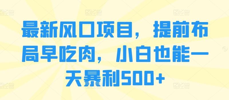 图片[1]-最新风口项目，提前布局早吃肉，小白也能一天暴利500+-大松资源网