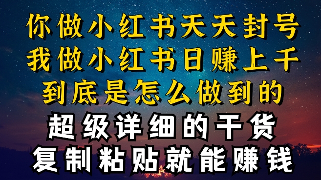 图片[1]-都知道小红书能引流私域变现，可为什么我能一天引流几十人变现上千，但你却频频封号违规被限流【揭秘】-大松资源网